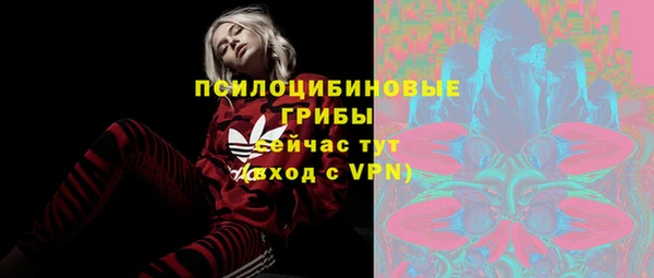 MDMA Premium VHQ Карпинск